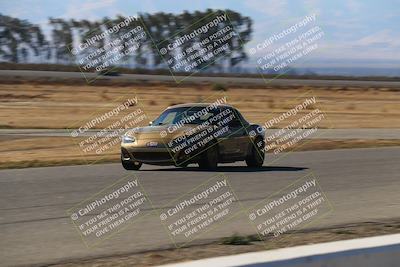 media/Nov-16-2024-CalClub SCCA (Sat) [[641f3b2761]]/Group 6/Grid and Front Straight/